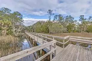 3491 Toomer Kiln Cir, Mount Pleasant, SC 29466 - Photo 44