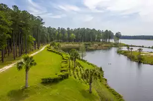 155 Wappoo Trce Ln, Summerville, SC 29486 - Photo 70