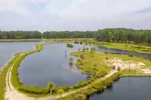 155 Wappoo Trce Ln, Summerville, SC 29486 - Photo 68