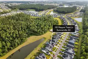 155 Wappoo Trce Ln, Summerville, SC 29486 - Photo 66