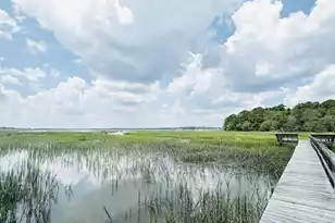 5979 Joseph Blake Ln, Wadmalaw Island, SC 29487 - Photo 2