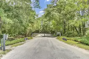 5979 Joseph Blake Ln, Wadmalaw Island, SC 29487 - Photo 1