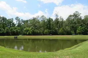 133 Country Oaks Ln, Charleston, SC 29492 - Photo 52