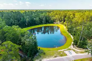 217 President Cir, Summerville, SC 29483 - Photo 60