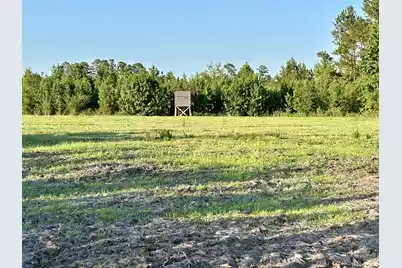 0 Fc Cox Road, Hemingway, SC 29554 - Photo 6