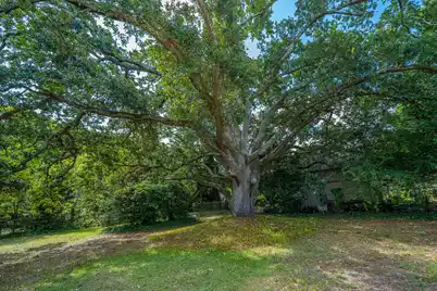 279 Hawthorne Street, Mount Pleasant, SC 29464 - Photo 32