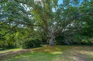 279 Hawthorne St, Mount Pleasant, SC 29464 - Photo 32