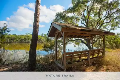 8203 Jack Island, Johns Island, SC 29455 - Photo 10
