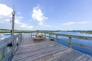409 Topsail Ct, Charleston, SC 29492 - Photo 72