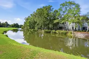 410 Carolina Cherry Ct #203, Charleston, SC 29414 - Photo 36