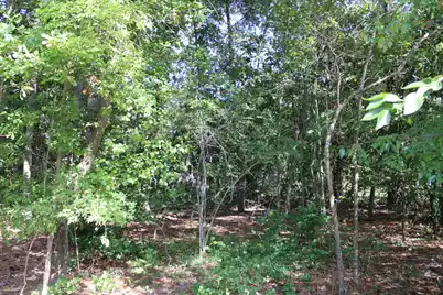 9122 State Rd S-10-1224, North Charleston, SC 29406 - Photo 4