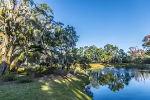 2128 Chatelain Way, Mount Pleasant, SC 29464 - Photo 62