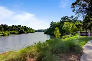 117 Loon Dr, Summerville, SC 29483 - Photo 46