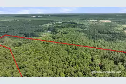 0 Canewood Lane, Ridgeville, SC 29472 - Photo 10