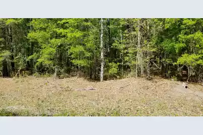 00 Rabb, Walterboro, SC 29488 - Photo 2