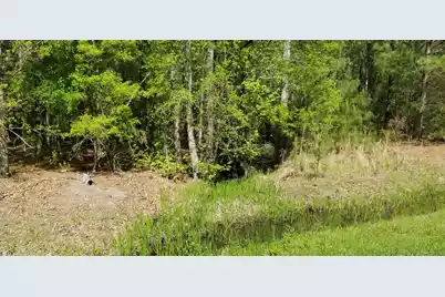 00 Rabb, Walterboro, SC 29488 - Photo 1