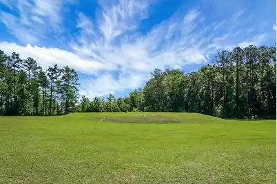 658 Black Pine Road, Moncks Corner, SC 29461 - Photo 50