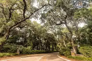 2003 Izard Ct, Charleston, SC 29414 - Photo 66
