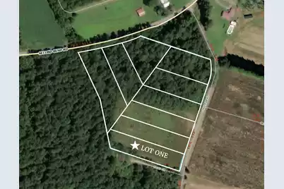 1 Dantzler Road #Lot 1, Harleyville, SC 29448 - Photo 2