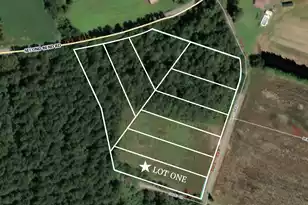 1 Dantzler Rd Lot 1, Harleyville, SC 29448 - Photo 2