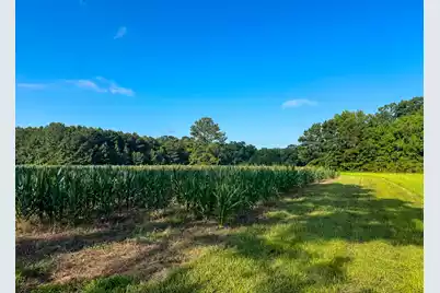 0 Hope Plantation Lane, Jacksonboro, SC 29452 - Photo 22