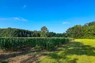 0 Hope Plantation Ln, Jacksonboro, SC 29452 - Photo 22