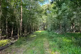 0 Hope Plantation Ln, Jacksonboro, SC 29452 - Photo 42