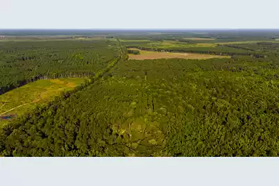 0 Hope Plantation Lane, Jacksonboro, SC 29452 - Photo 58