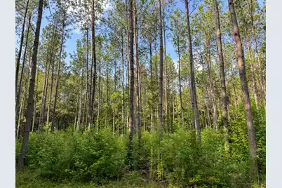 0 Hope Plantation Lane, Jacksonboro, SC 29452 - Photo 38