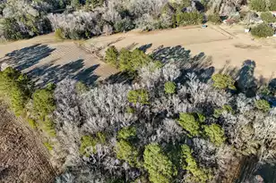 0 Hope Plantation Ln, Jacksonboro, SC 29452 - Photo 62