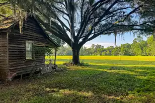 0 Hope Plantation Ln, Jacksonboro, SC 29452 - Photo 16