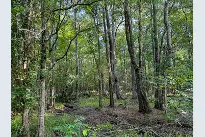 0 Hope Plantation Lane, Jacksonboro, SC 29452 - Photo 44