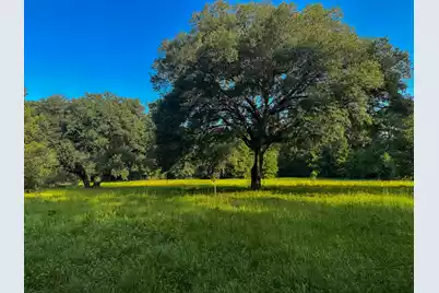 0 Hope Plantation Lane, Jacksonboro, SC 29452 - Photo 20