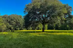 0 Hope Plantation Ln, Jacksonboro, SC 29452 - Photo 20