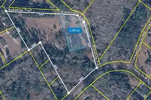 934 Bobwhite Trail, Hampton, SC 29924 - Photo 26