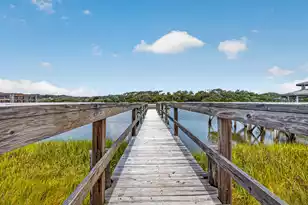 760 Springs Ave, Pawleys Island, SC 29585 - Photo 44