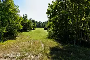 0 Bethel Cemetery Rd, Reevesville, SC 29471 - Photo 1