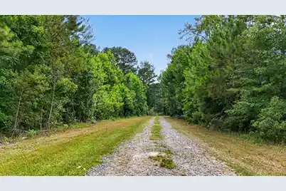 135 Ponley Lane, Cottageville, SC 29435 - Photo 52