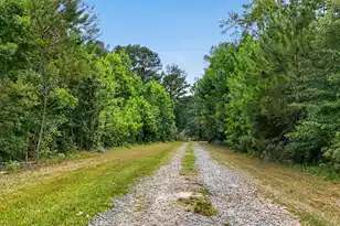 135 Ponley Ln, Cottageville, SC 29435 - Photo 52