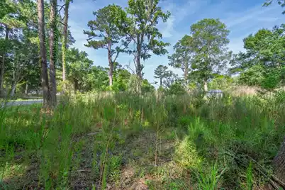 8326 Shell House Road, Edisto Island, SC 29438 - Photo 14