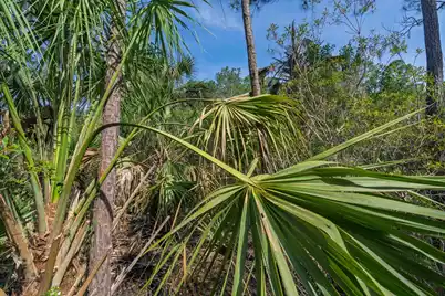 8326 Shell House Road, Edisto Island, SC 29438 - Photo 6