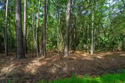 8326 Shell House Road, Edisto Island, SC 29438 - Photo 26