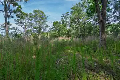 8326 Shell House Road, Edisto Island, SC 29438 - Photo 1