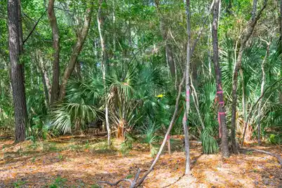 8326 Shell House Road, Edisto Island, SC 29438 - Photo 28