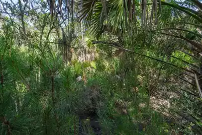 8326 Shell House Road, Edisto Island, SC 29438 - Photo 10