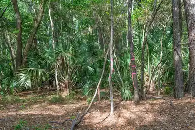 8326 Shell House Road, Edisto Island, SC 29438 - Photo 24