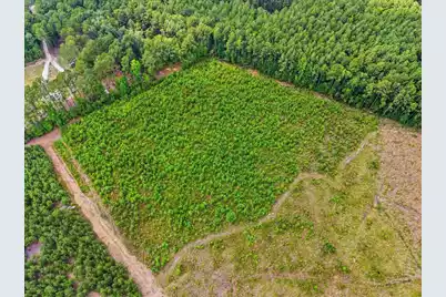 00 Adams Road, Cottageville, SC 29435 - Photo 8