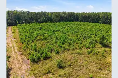 00 Adams Road, Cottageville, SC 29435 - Photo 4
