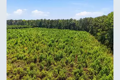 00 Adams Road, Cottageville, SC 29435 - Photo 18