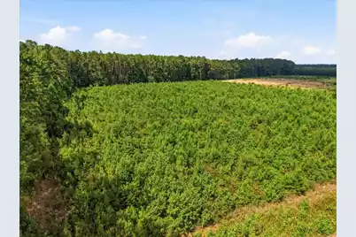 00 Adams Road, Cottageville, SC 29435 - Photo 2